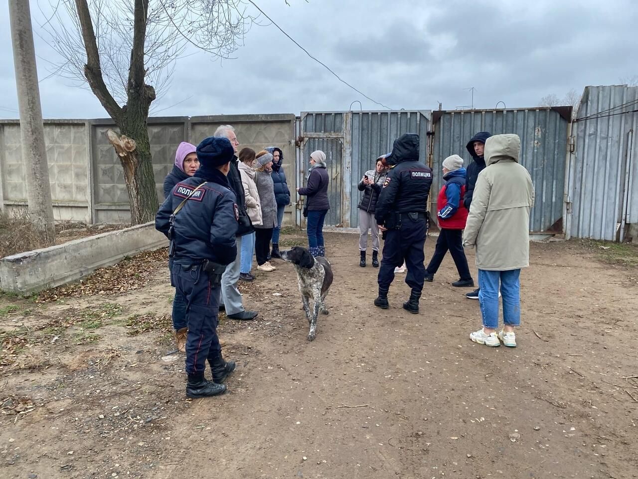 Волонтеры у входа в приют Волонтеры у входа в приют - РИА Новости, 1920, 01.12.2022