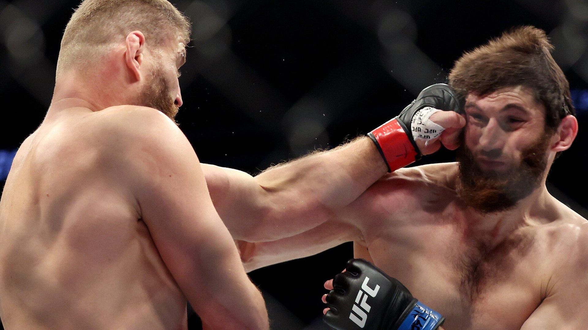 Ян Блахович и Магомед Анкалаев на UFC 282 Ян Блахович и Магомед Анкалаев на UFC 282 - РИА Новости, 1920, 11.12.2022