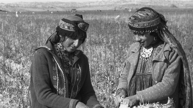Работницы колхоза имени М.И. Калинина Джангул Рахманова и Манас Абдулова, представительницы народности белуджи, на уборке хлопчатника. Туркменская ССР Работницы колхоза имени М.И. Калинина Джангул Рахманова и Манас Абдулова, представительницы народности белуджи, на уборке хлопчатника. Туркменская ССР