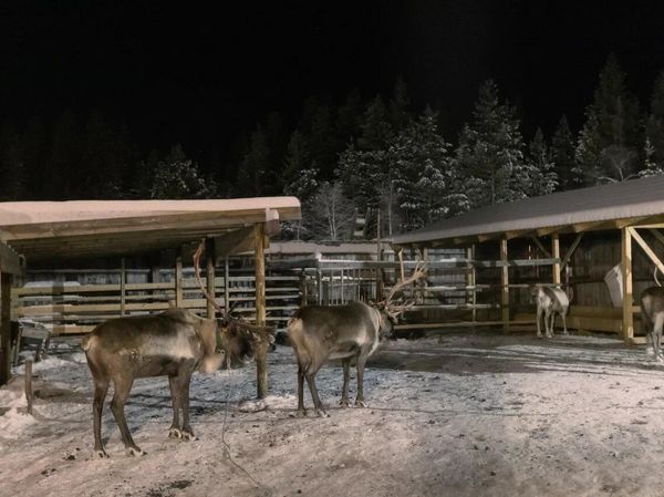 Огни Имандры