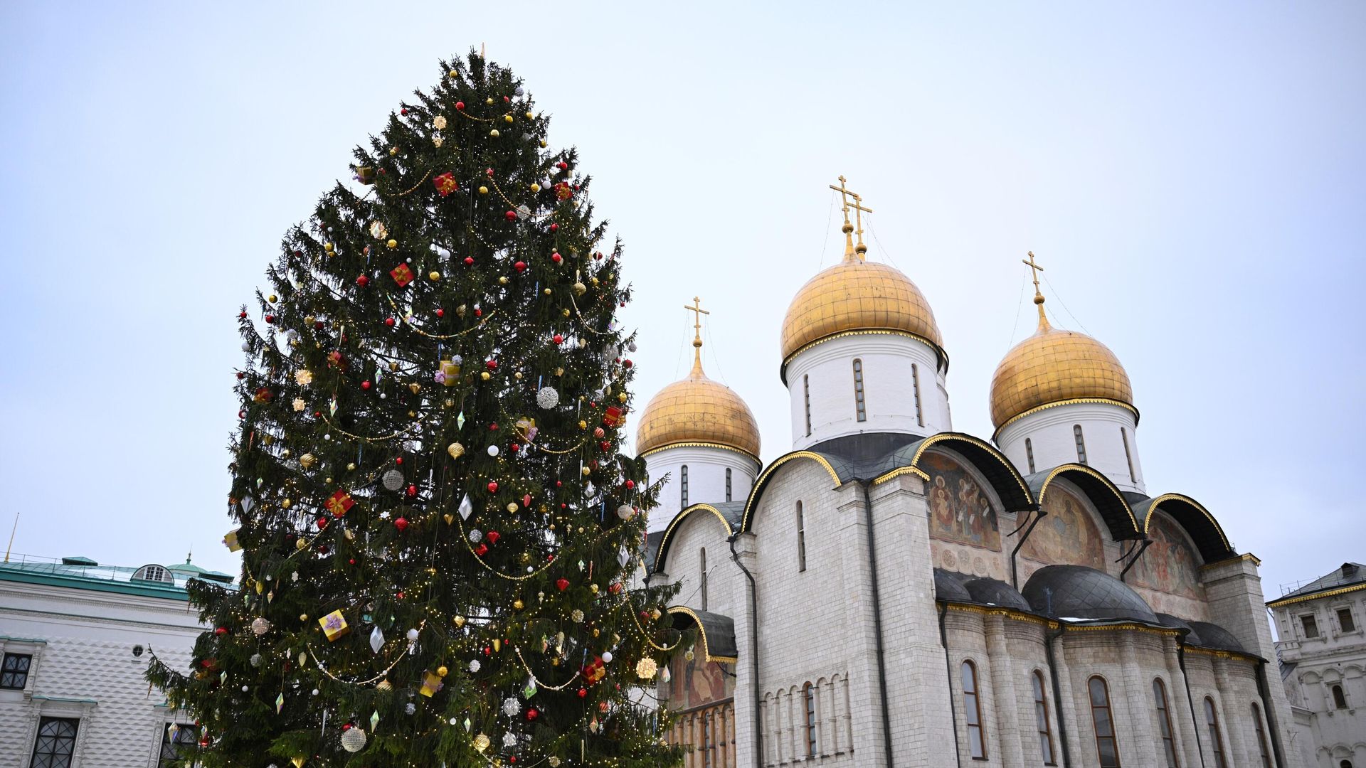 Главная новогодняя елка на Соборной площади московского Кремля Главная новогодняя елка на Соборной площади московского Кремля - РИА Новости, 1920, 27.01.2023
