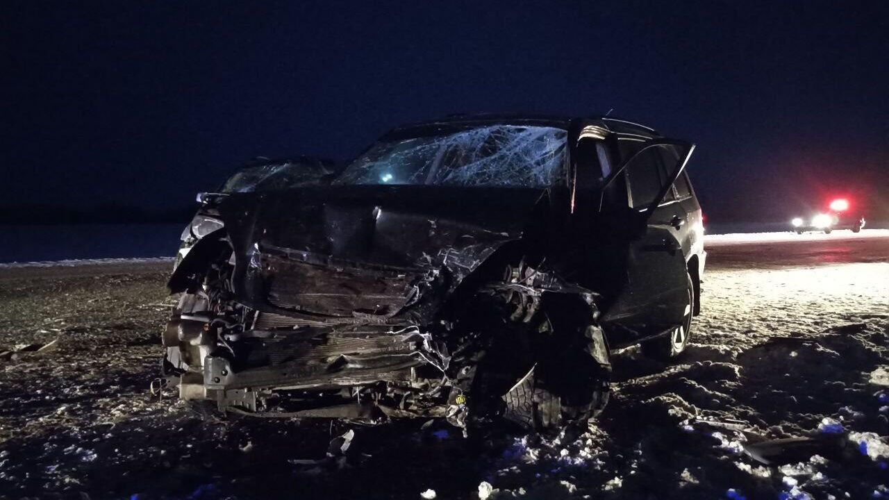 На трассе в Омской области произошло столкновение автомобилей Тойота Рав 4 и Чери На трассе в Омской области произошло столкновение автомобилей Тойота Рав 4 и Чери - РИА Новости, 1920, 07.01.2023