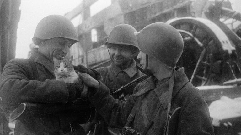 Мирные воспоминания. Сталинград. 1942 год. Мирные воспоминания. Сталинград. 1942 год.