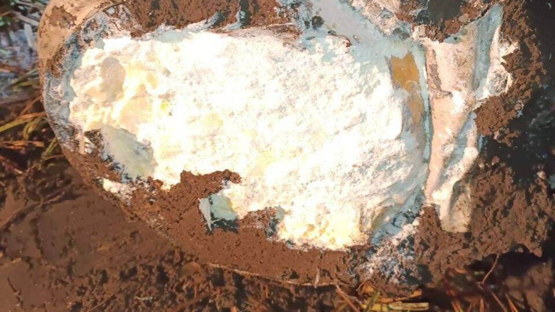 В Бричанском районе Молдовы обнаружена головная часть упавшей ранее ракеты В Бричанском районе Молдовы обнаружена головная часть упавшей ранее ракеты - РИА Новости, 1920, 15.01.2023