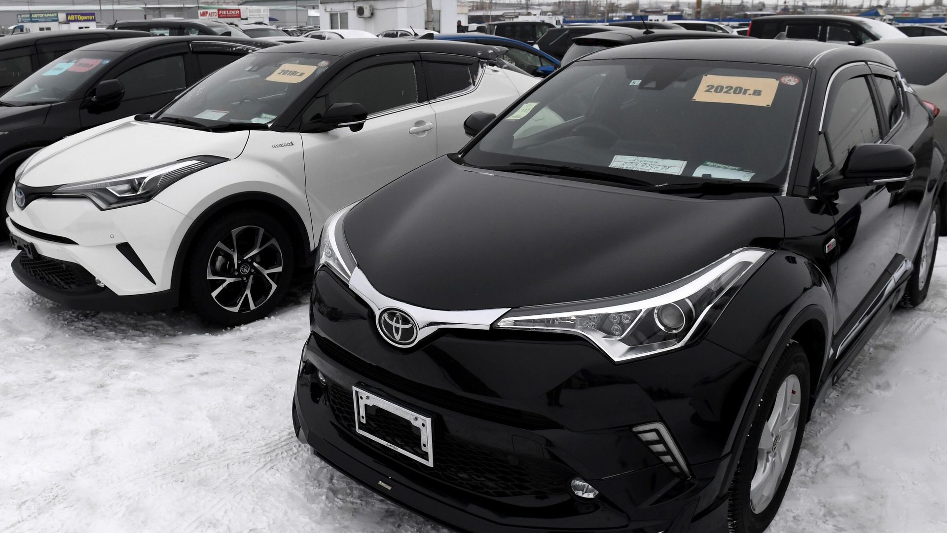 Японские праворульные кроссоверы марки Toyota C-HR на авторынке 777 в Красноярске Японские праворульные кроссоверы марки Toyota C-HR на авторынке 777 в Красноярске - РИА Новости, 1920, 13.02.2023