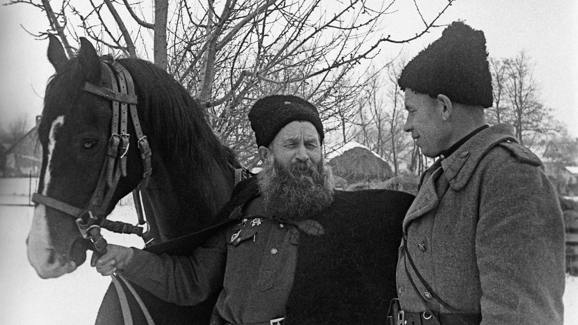 Ополченцы казачьей кавалерийской дивизии Ополченцы казачьей кавалерийской дивизии - РИА Новости, 1920, 17.02.2024