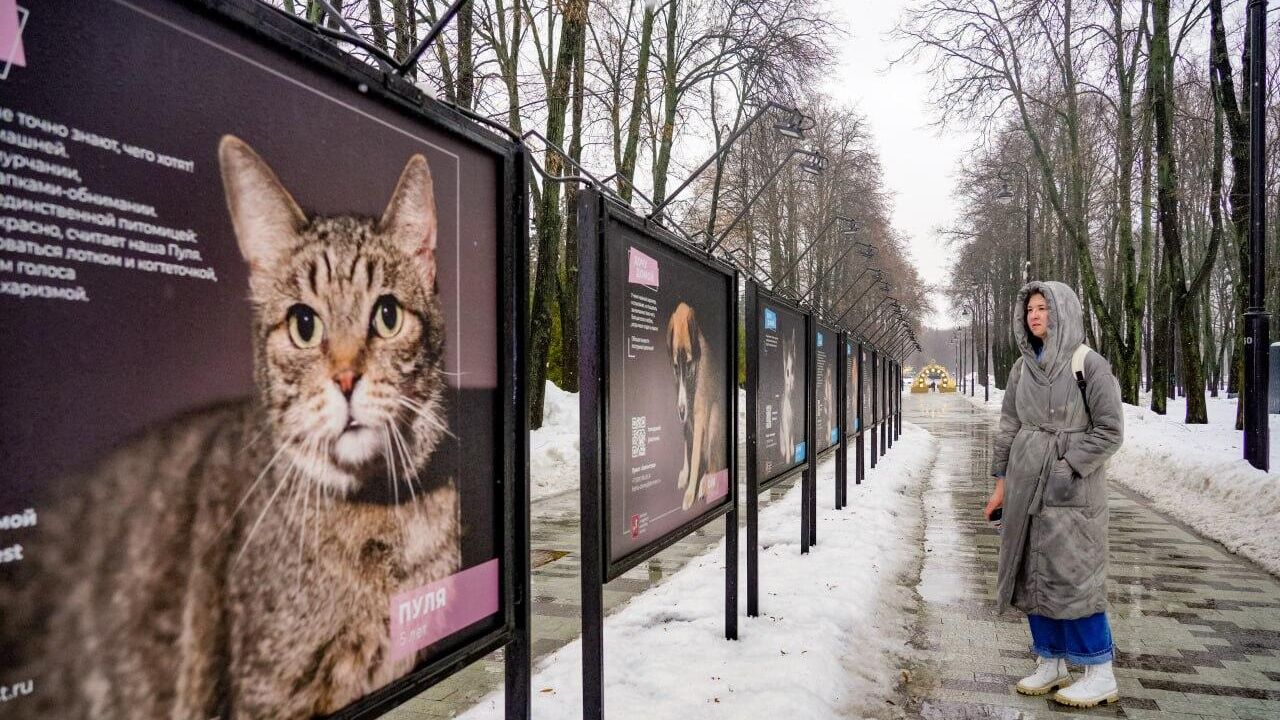 Фотовыставка в парке Северного речного вокзала в Москве Фотовыставка в парке Северного речного вокзала в Москве - РИА Новости, 1920, 19.01.2023