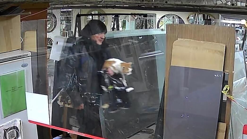 Кража кота из зоомагазина в городе Кудрово Ленинградской области. Скриншот записи с камеры видеонаблюдения Кража кота из зоомагазина в городе Кудрово Ленинградской области. Скриншот записи с камеры видеонаблюдения - РИА Новости, 1920, 27.01.2023