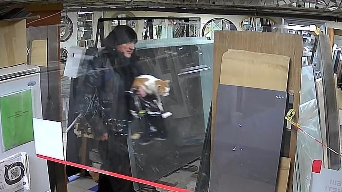 Кража кота из зоомагазина в городе Кудрово Ленинградской области. Скриншот записи с камеры видеонаблюдения Кража кота из зоомагазина в городе Кудрово Ленинградской области. Скриншот записи с камеры видеонаблюдения - РИА Новости, 1920, 27.01.2023