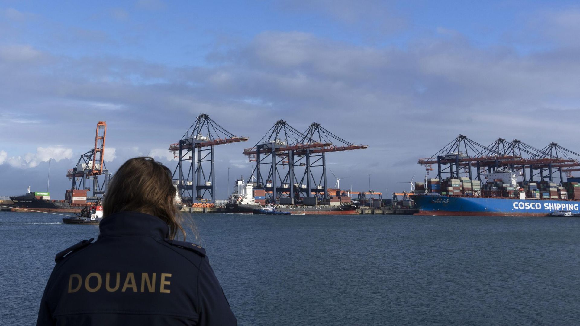 Сотрудник таможни на контейнерном терминале в порту Роттердам, Нидерланды Сотрудник таможни на контейнерном терминале в порту Роттердам, Нидерланды - РИА Новости, 1920, 08.07.2025