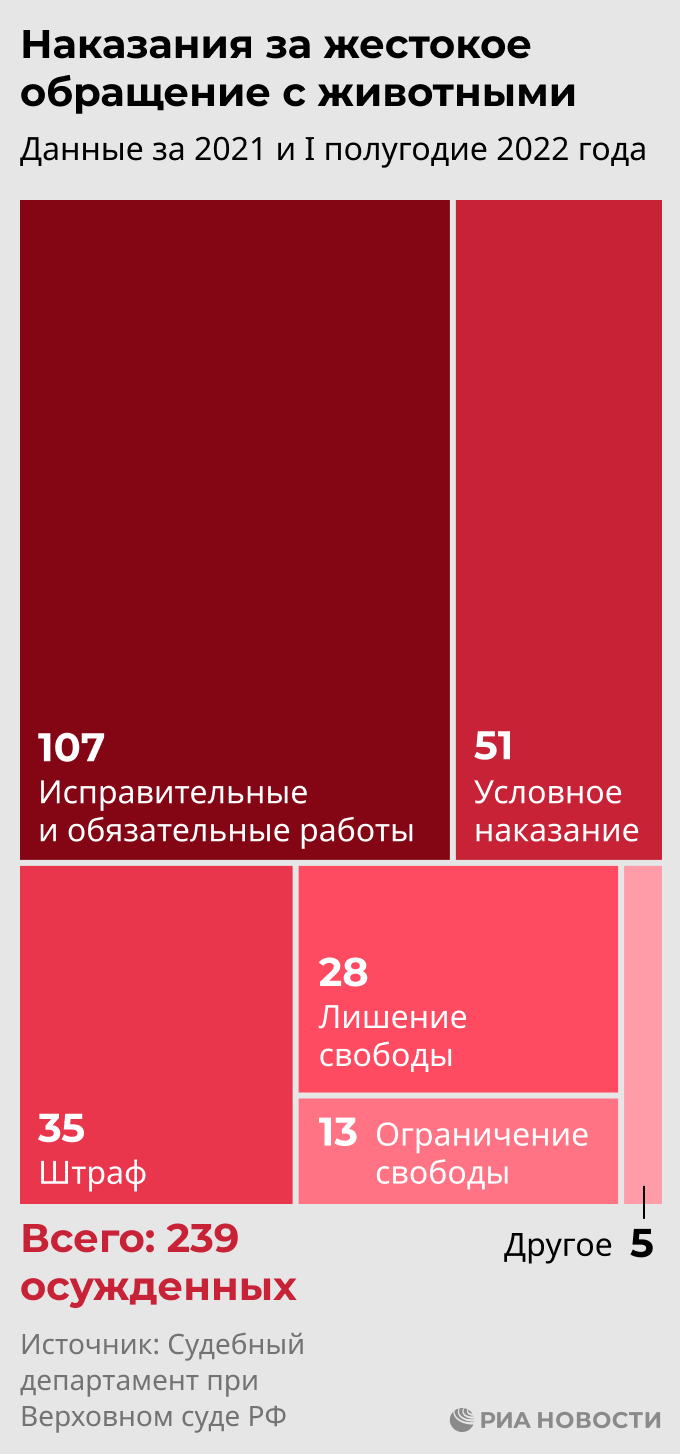Наказания за жестокое обращение с животными Наказания за жестокое обращение с животными