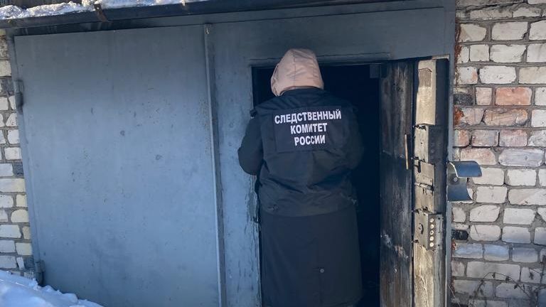 Сотрудник СК на месте пожара в одном из боксов гаражного кооператива, расположенного в городе Сегежа Сотрудник СК на месте пожара в одном из боксов гаражного кооператива, расположенного в городе Сегежа - РИА Новости, 1920, 22.02.2023
