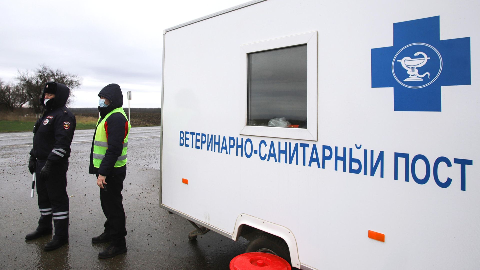 Сотрудник полиции и сотрудник ветеринарной службы у передвижного ветеринарно-санитарного поста Сотрудник полиции и сотрудник ветеринарной службы у передвижного ветеринарно-санитарного поста - РИА Новости, 1920, 11.02.2024