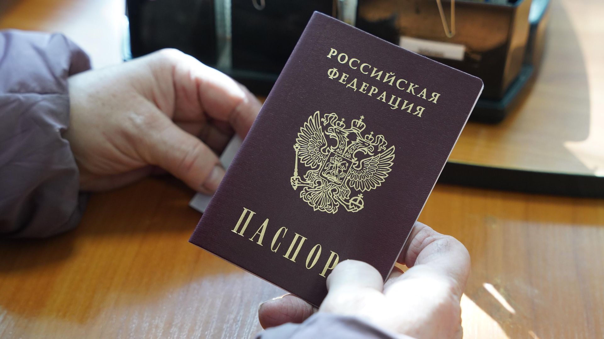 Российский паспорт Российский паспорт - РИА Новости, 1920, 11.07.2023