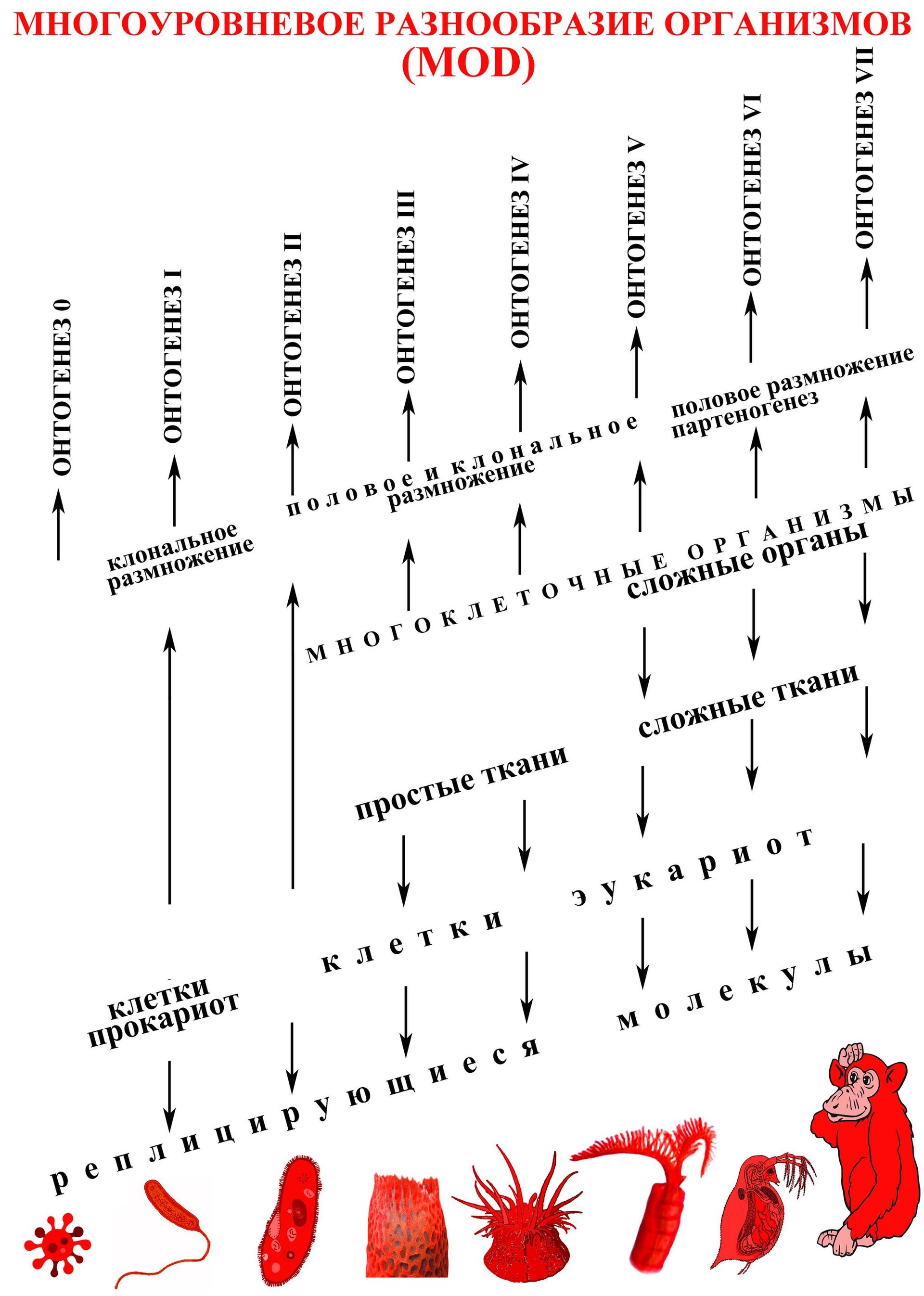 Многоуровневое разнообразие организмов Многоуровневое разнообразие организмов - РИА Новости, 1920, 03.03.2023