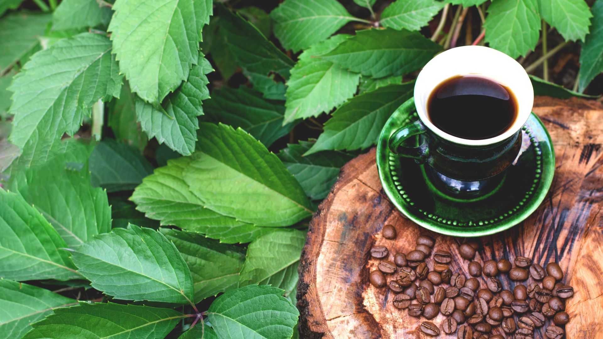 Чашка кофе Чашка кофе - РИА Новости, 1920, 03.08.2023
