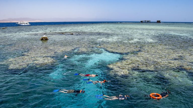 Сноркелинг у коралловых рифов в Красном море, Шарм-эш-Шейх, Египет Сноркелинг у коралловых рифов в Красном море, Шарм-эш-Шейх, Египет