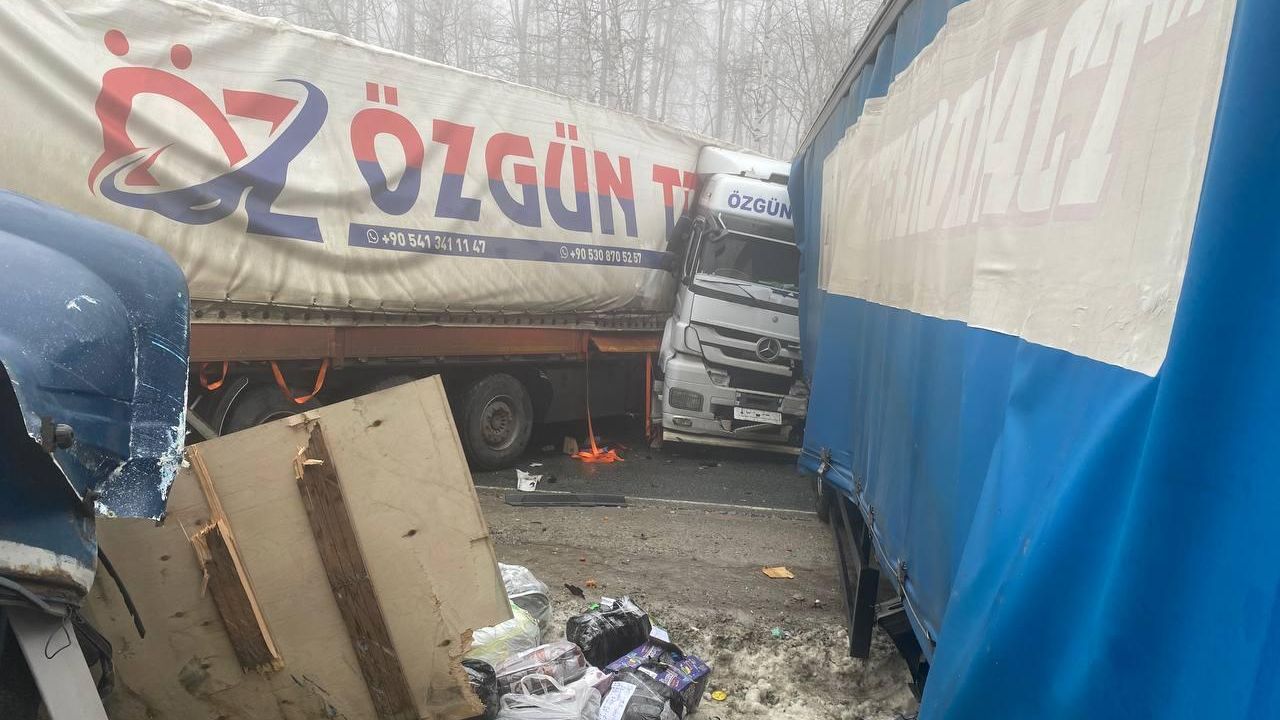 Участники массового ДТП в Саратовской области Участники массового ДТП в Саратовской области - РИА Новости, 1920, 12.03.2023
