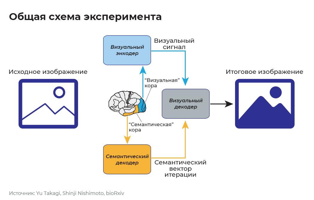 Общая схема эксперимента Общая схема эксперимента