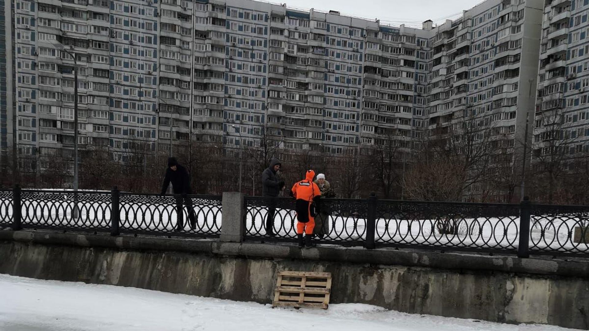 Московские спасатели спасли кота от стаи ворон на Коломенской набережной Московские спасатели спасли кота от стаи ворон на Коломенской набережной - РИА Новости, 1920, 14.03.2023