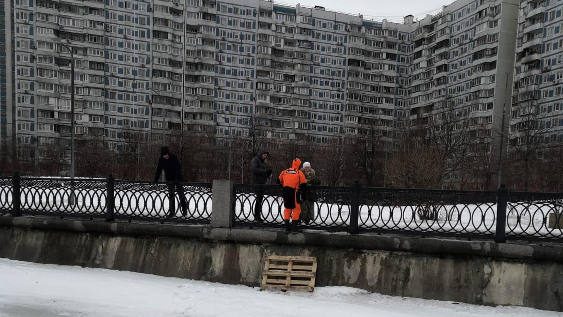 Московские спасатели спасли кота от стаи ворон на Коломенской набережной Московские спасатели спасли кота от стаи ворон на Коломенской набережной - РИА Новости, 1920, 14.03.2023