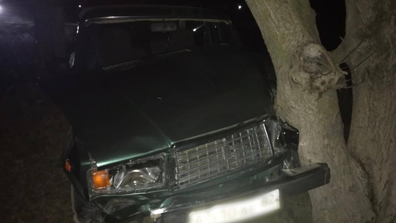 Место ДТП, в котором пострадала семья с детьми в Нижнегорском районе Крыма - РИА Новости, 1920, 19.03.2023