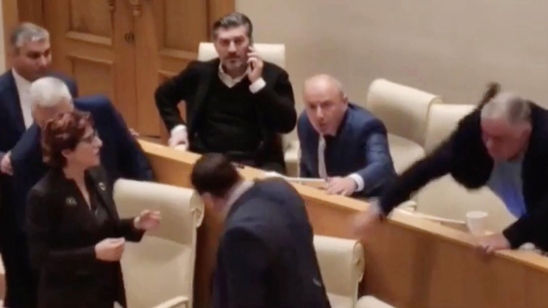Кадр видео заседания парламента Грузии Кадр видео заседания парламента Грузии - РИА Новости, 1920, 20.09.2023