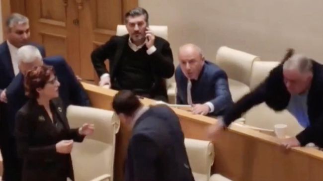 Кадр видео заседания парламента Грузии