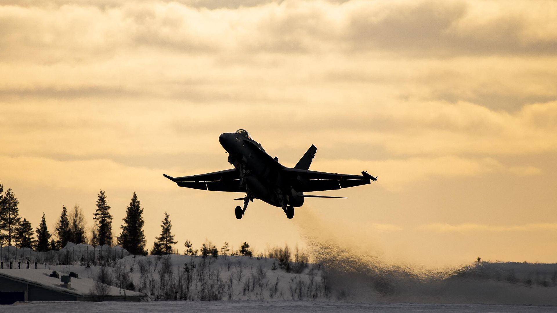 Финский F-18 Hornet Финский F-18 Hornet - РИА Новости, 1920, 23.03.2023