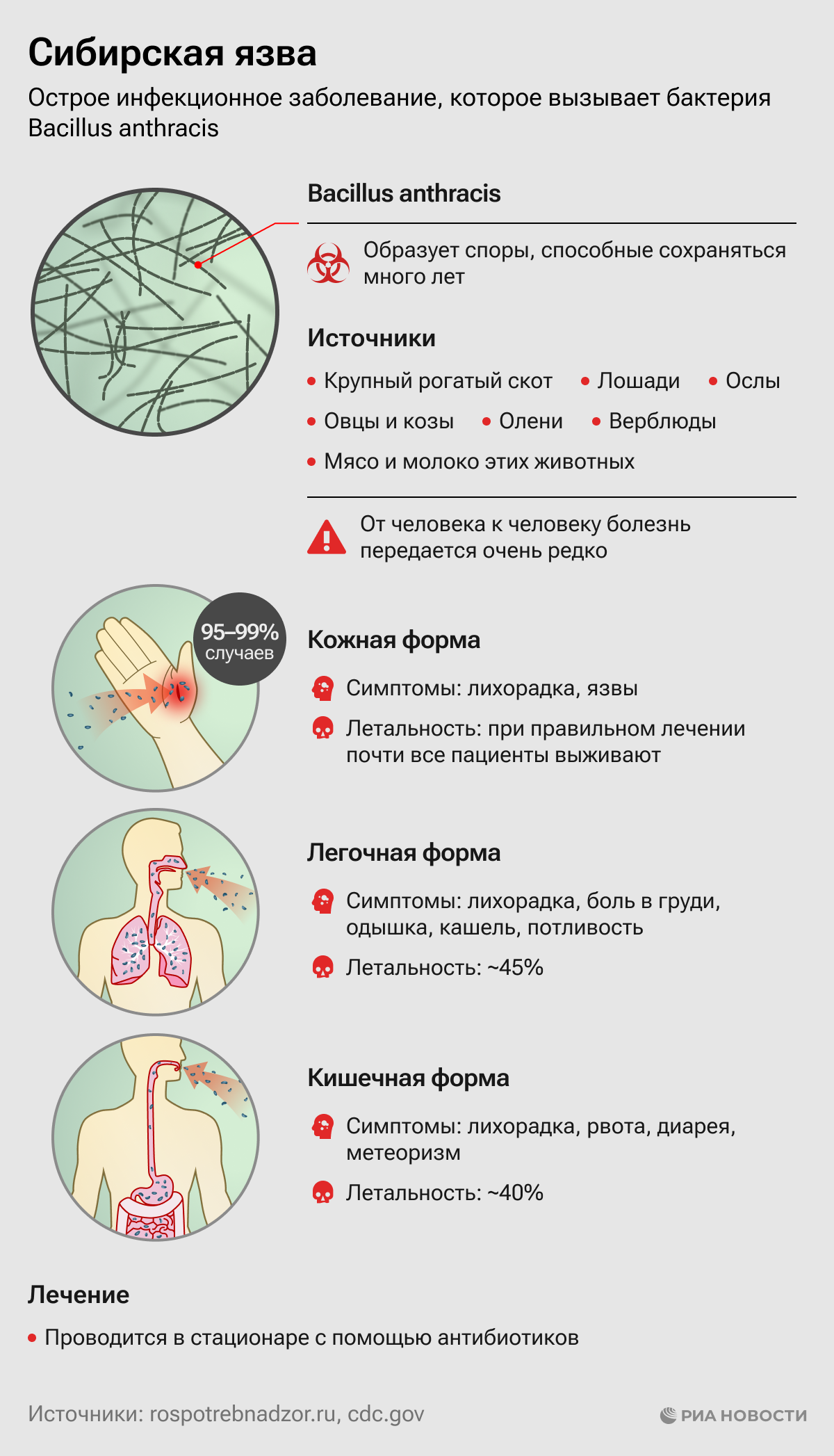 Сибирская язва: формы, симптомы, летальность и лечение 