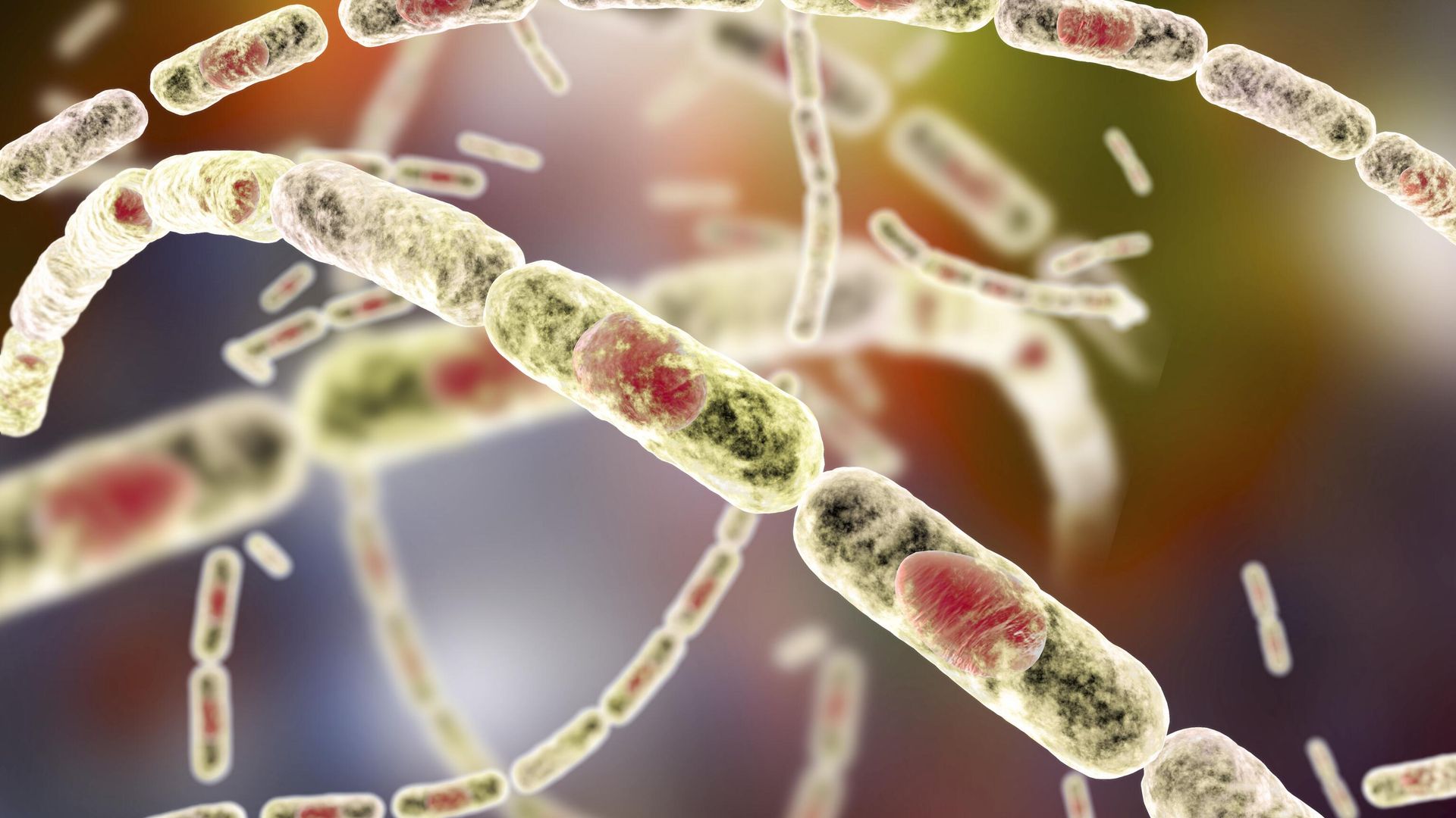 Палочка Bacillus anthracis Палочка Bacillus anthracis - РИА Новости, 1920, 11.09.2023