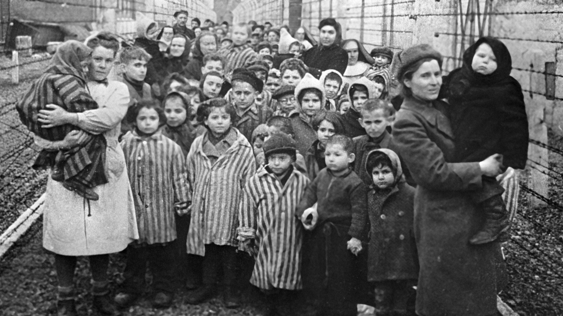 Советские врачи и представители Красного креста среди детей-узников лагеря смерти Освенцим в первые часы после его освобождения Советские врачи и представители Красного креста среди детей-узников лагеря смерти Освенцим в первые часы после его освобождения - РИА Новости, 1920, 27.01.2024