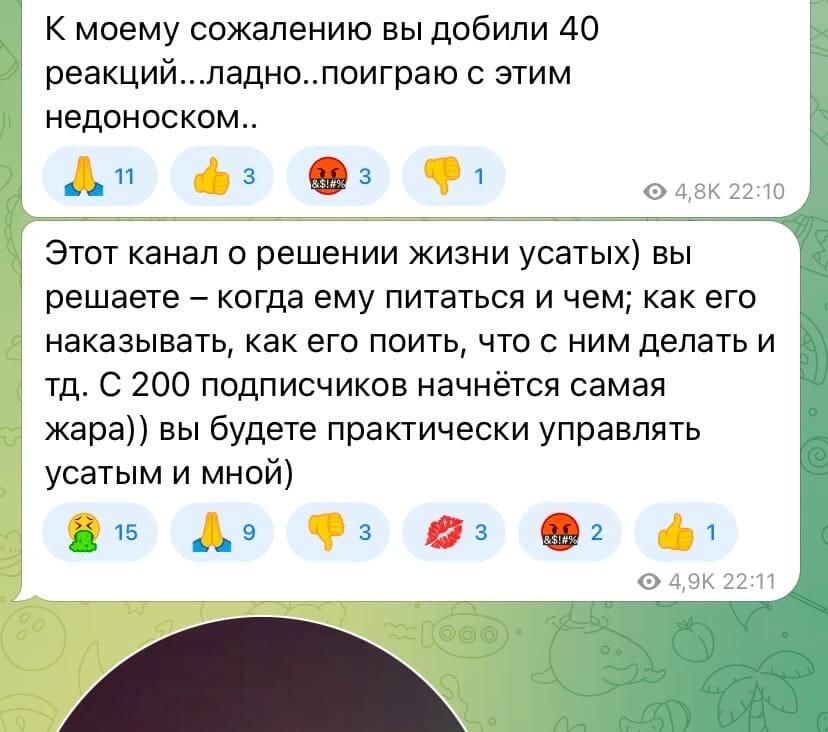 Скриншот из группы живодерки - РИА Новости, 1920, 14.04.2023
