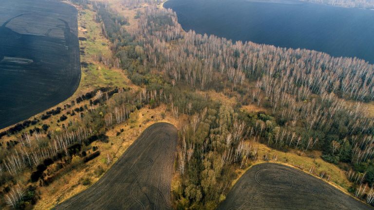 Овраг неподалеку от села Судбищи в Орловской области, где были найдены исторические артефакты