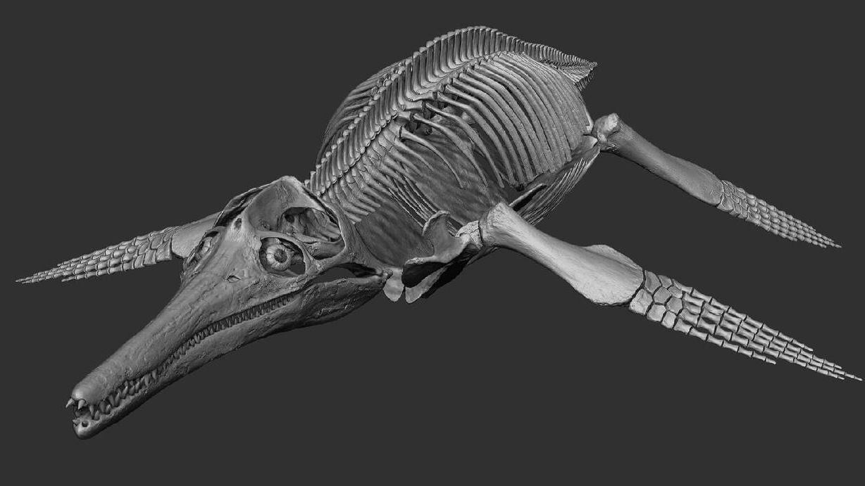 Принт-скрин 3D-модели лусхана палеоскульптора Влада Константинова Принт-скрин 3D-модели лусхана палеоскульптора Влада Константинова - РИА Новости, 1920, 02.05.2023
