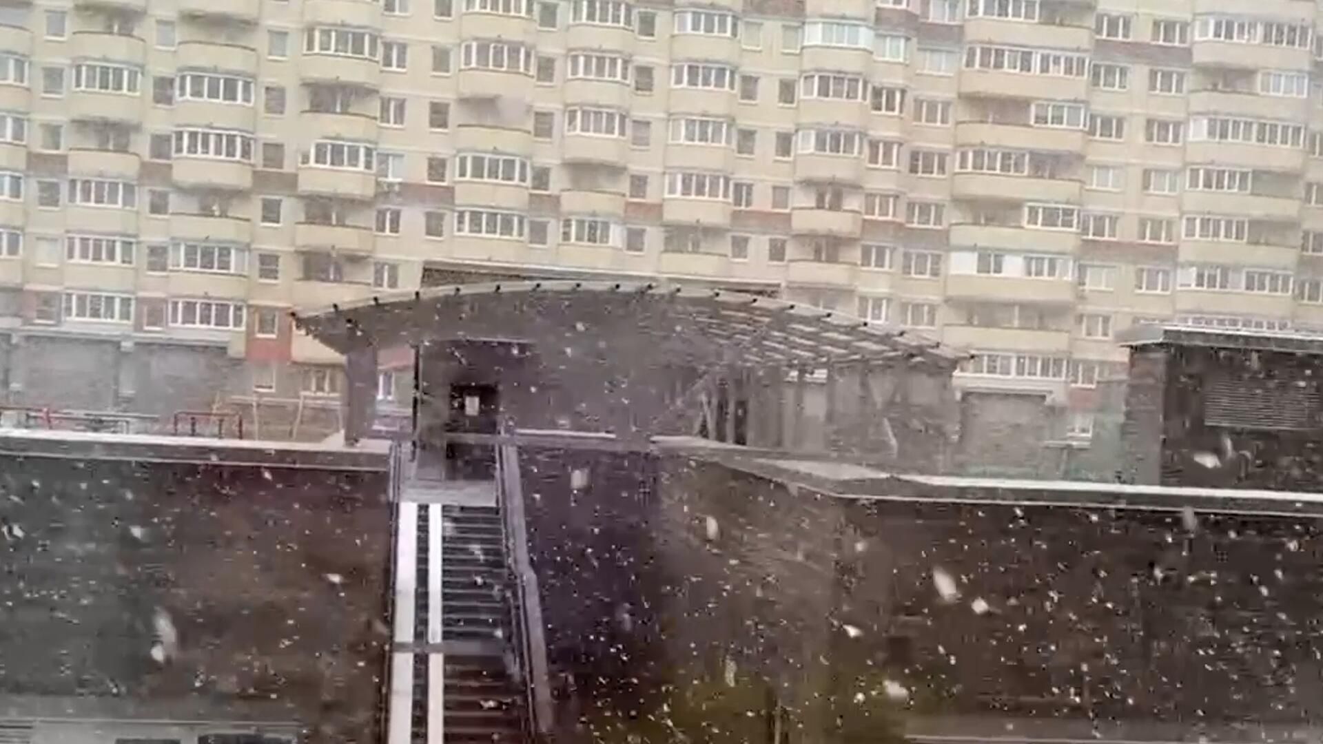 Снегопад в начале мая, или Весенняя погода в Санкт-Петербурге Снегопад в начале мая, или Весенняя погода в Санкт-Петербурге - РИА Новости, 1920, 05.05.2023
