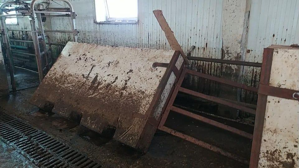 В Омской области возбуждено уголовное дело о нарушении правил охраны труда
после того, как скотника убило плитой во время работ в молочном комплексе В Омской области возбуждено уголовное дело о нарушении правил охраны труда
после того, как скотника убило плитой во время работ в молочном комплексе - РИА Новости, 1920, 10.05.2023