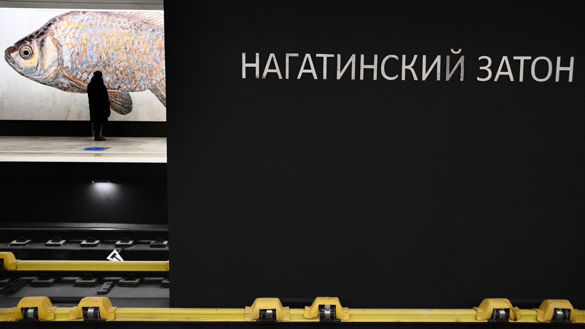 Мозаика с изображением рыбы в оформлении станции Нагатинский затон Большой кольцевой линии Московского метро - РИА Новости, 1920, 10.01.2025