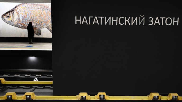 Мозаика с изображением рыбы в оформлении станции Нагатинский затон Большой кольцевой линии Московского метро Мозаика с изображением рыбы в оформлении станции Нагатинский затон Большой кольцевой линии Московского метро