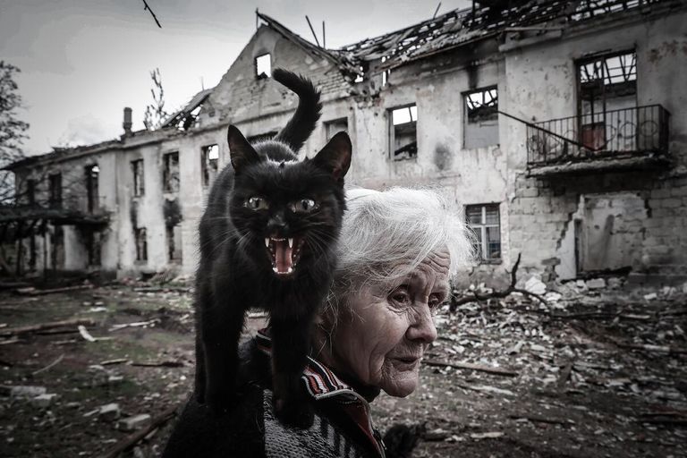 Жительница разрушенного поселка Светличное баба Нина с бездомным котом. ЛНР, 2022
Жительница разрушенного поселка Светличное баба Нина с бездомным котом. ЛНР, 2022