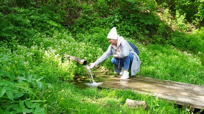 Источник Параскевы Пятницы в Хвощеватке Источник Параскевы Пятницы в Хвощеватке