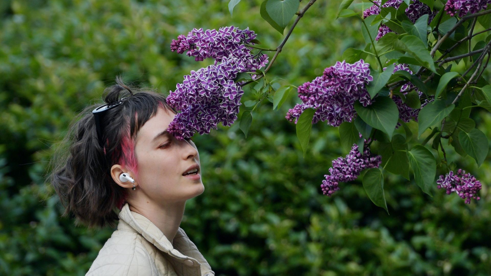 Девушка возле цветущего куста сирени в одном из парков в Санкт-Петербурге - РИА Новости, 1920, 30.04.2026