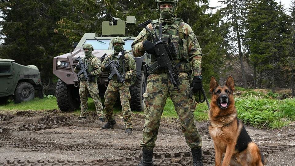 Военные подразделения сербской армии Военные подразделения сербской армии - РИА Новости, 1920, 31.03.2024