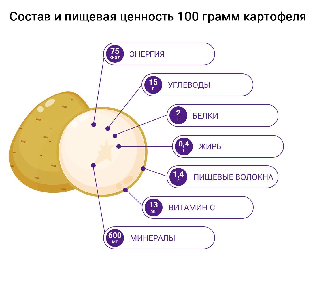 Пищевая ценность картофеля