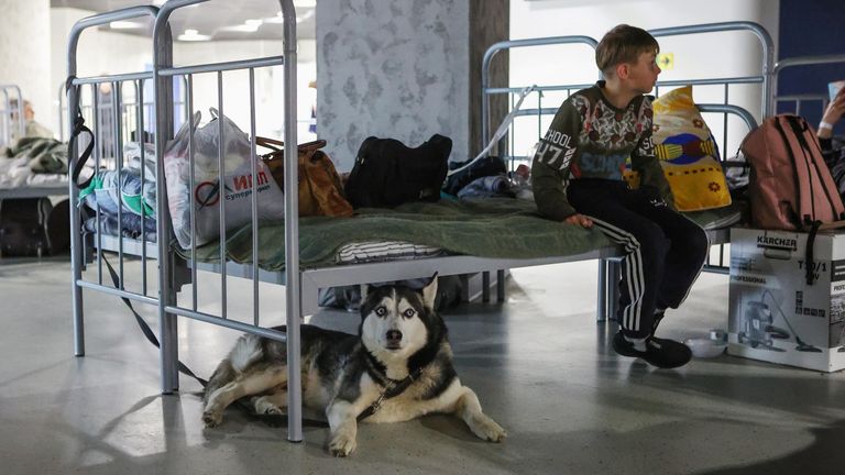 Пункт временного размещения жителей, организованный на территории стадиона Белгород-Арена в связи с массированными обстрелами Шебекинского городского округа с украинской стороны Пункт временного размещения жителей, организованный на территории стадиона Белгород-Арена в связи с массированными обстрелами Шебекинского городского округа с украинской стороны