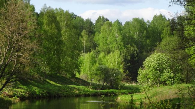 Река Нерль в 1 км от Охотино