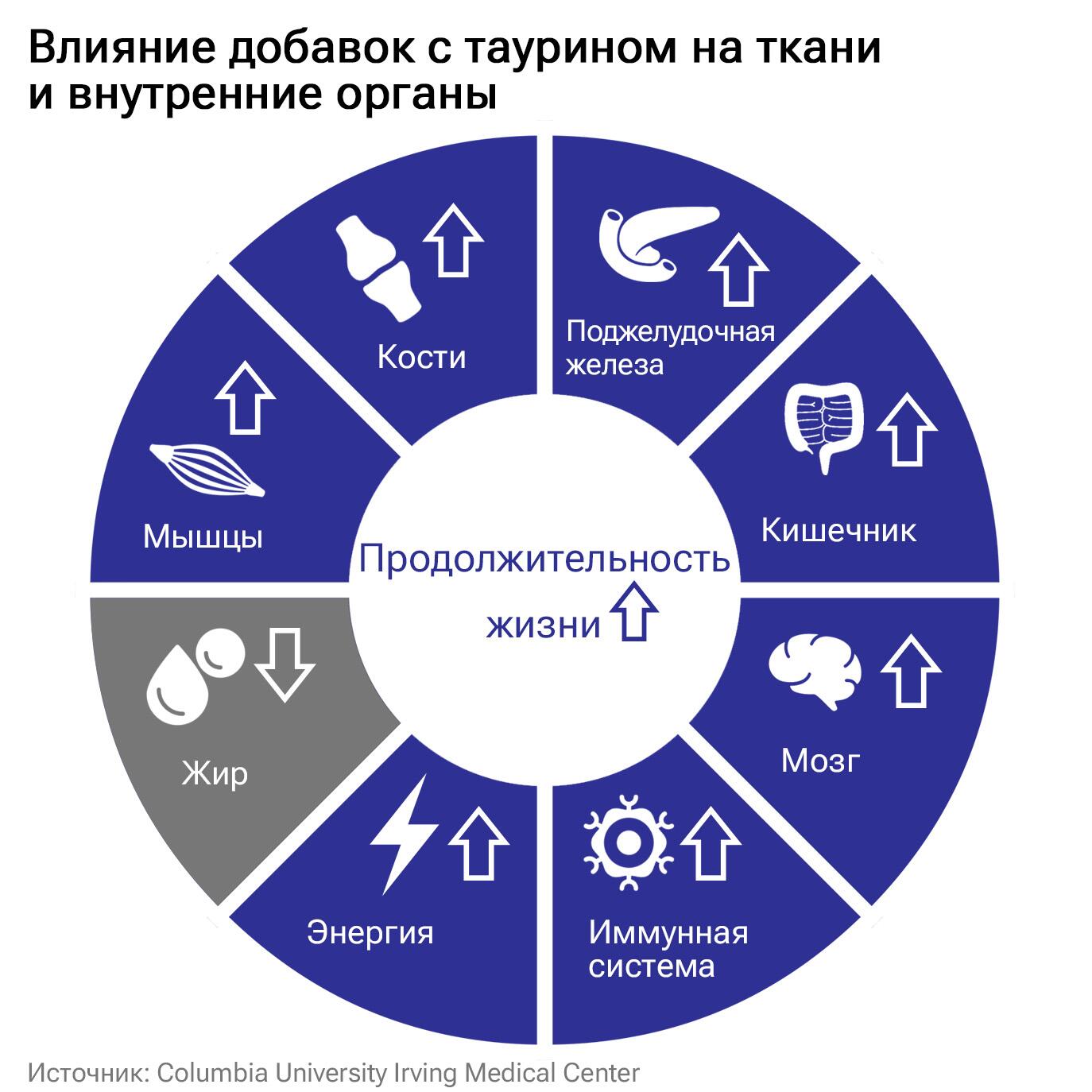 Влияние добавок с таурином на ткани и внутренние органы