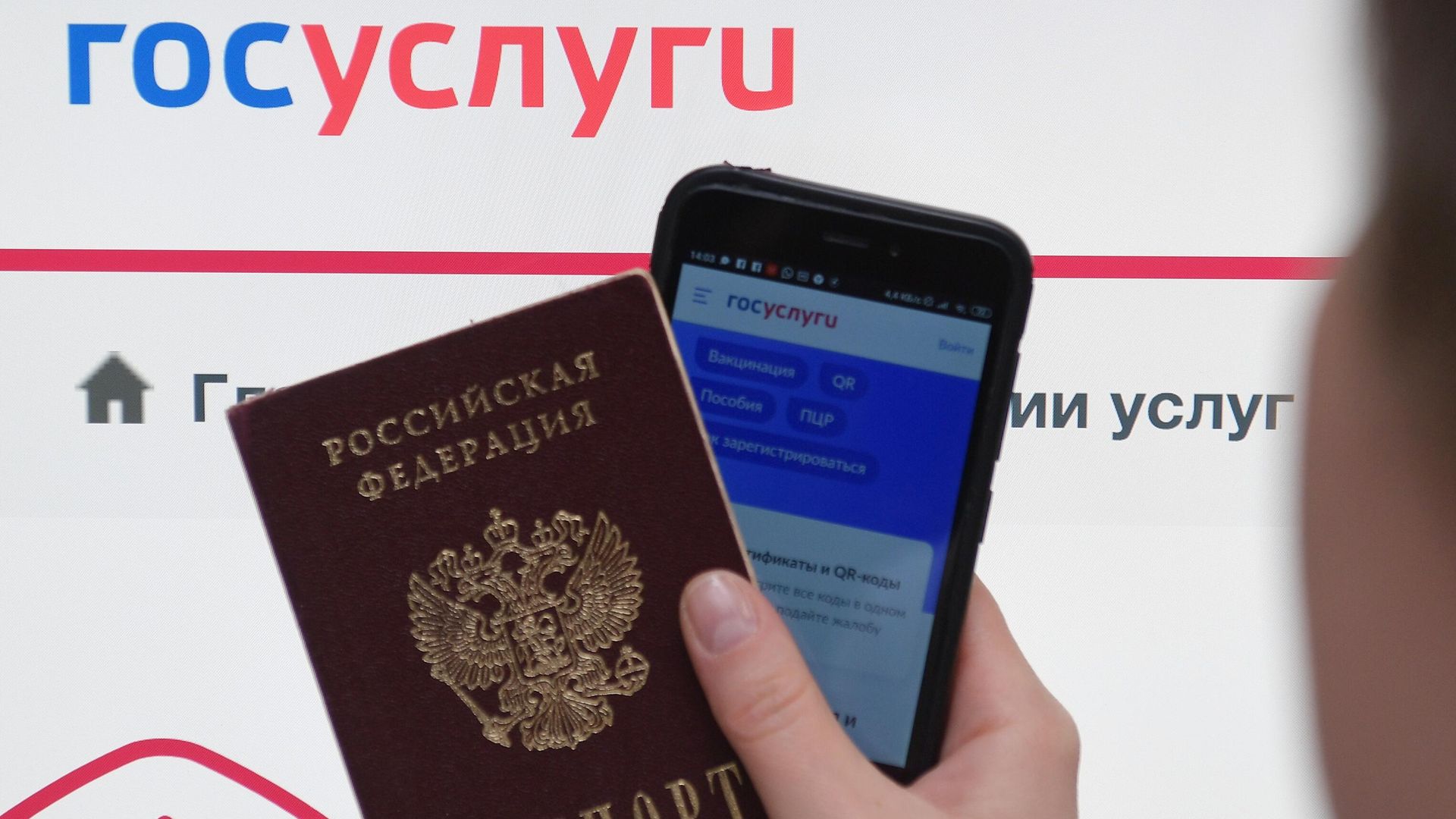 Справочно-информационный интернет-портал Госуслуги Справочно-информационный интернет-портал Госуслуги - РИА Новости, 1920, 13.06.2024