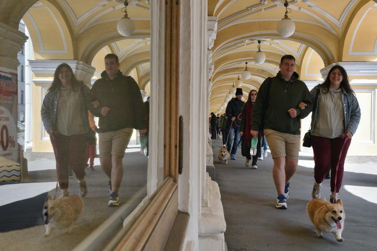 Горожане на встрече клуба любителей породы корги в Санкт-Петербурге