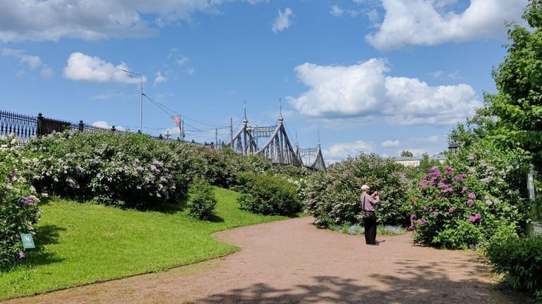 Вид на Староволжский мост из сада императорского путевого дворца в Твери Вид на Староволжский мост из сада императорского путевого дворца в Твери